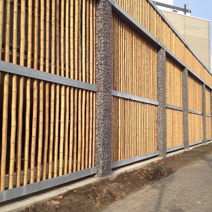 Short Lengths - Natural Apus Bamboo Pole - 10 Pack