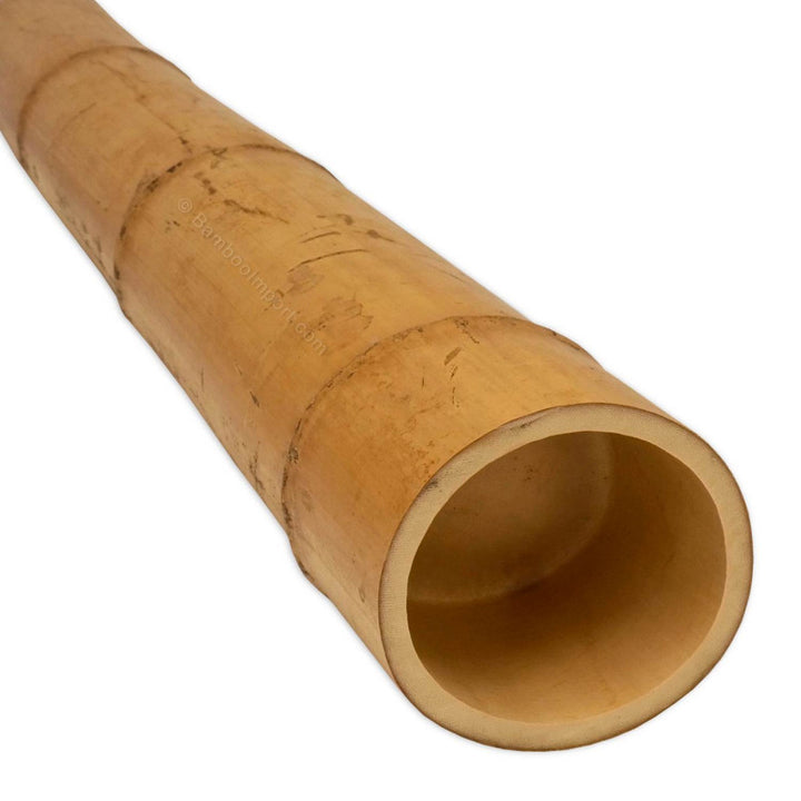 Short Lengths - Natural Apus Bamboo Pole - 10 Pack
