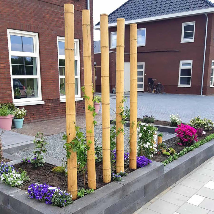 Short Lengths - Natural Apus Bamboo Pole - 10 Pack