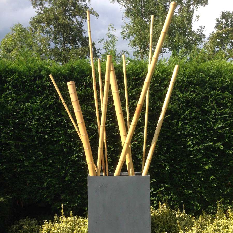 Short Lengths - Natural Apus Bamboo Pole - 10 Pack