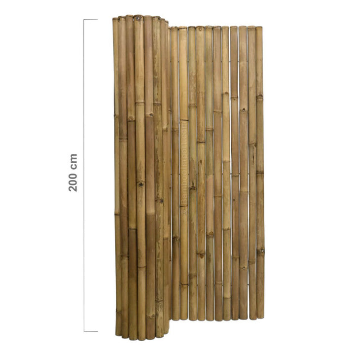 Natural Apus Bamboo Screening Roll Deluxe 180 x 200 cm