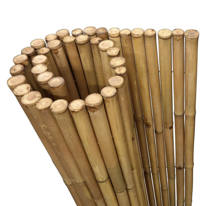 Natural Apus Bamboo Screening Roll Deluxe 180 x 200 cm