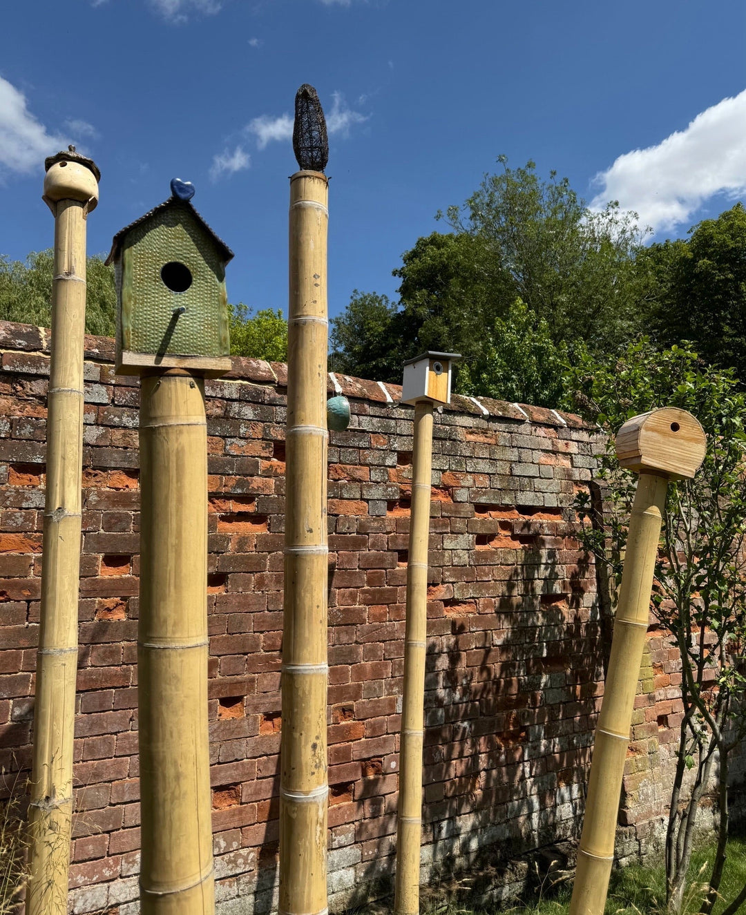 Bamboo Skyline: Homes for the Birds