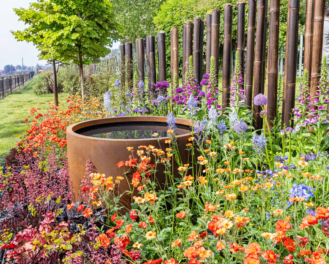 Award-Winning Garden Design at RHS Malvern Spring Festival 2026