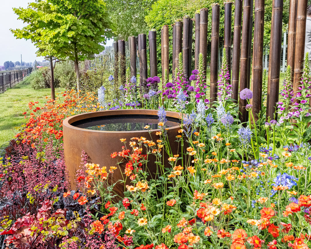 Award-Winning Garden Design at RHS Malvern Spring Festival 2026
