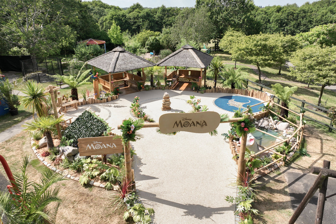 Bamboo for the Moana-Inspired Garden at Little Havens Hospice