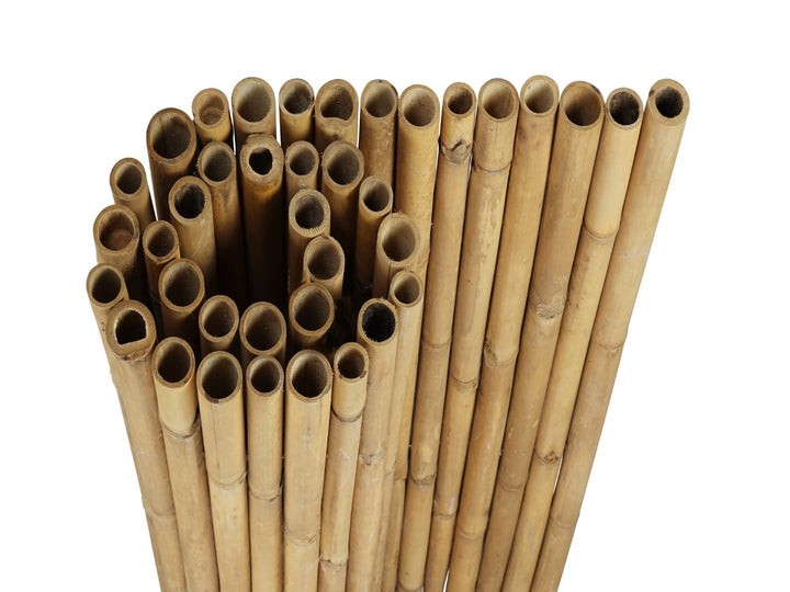 Natural Apus Bamboo Screening Roll Deluxe 180cm - 200 cm