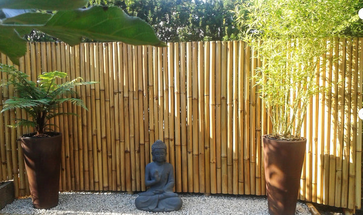 Natural Apus Bamboo Screening Roll Deluxe 180cm - 200 cm