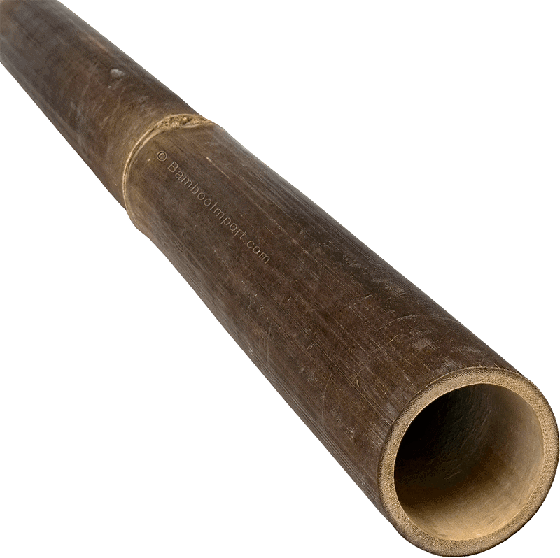 Long Lengths - Java Black Bamboo Pole
