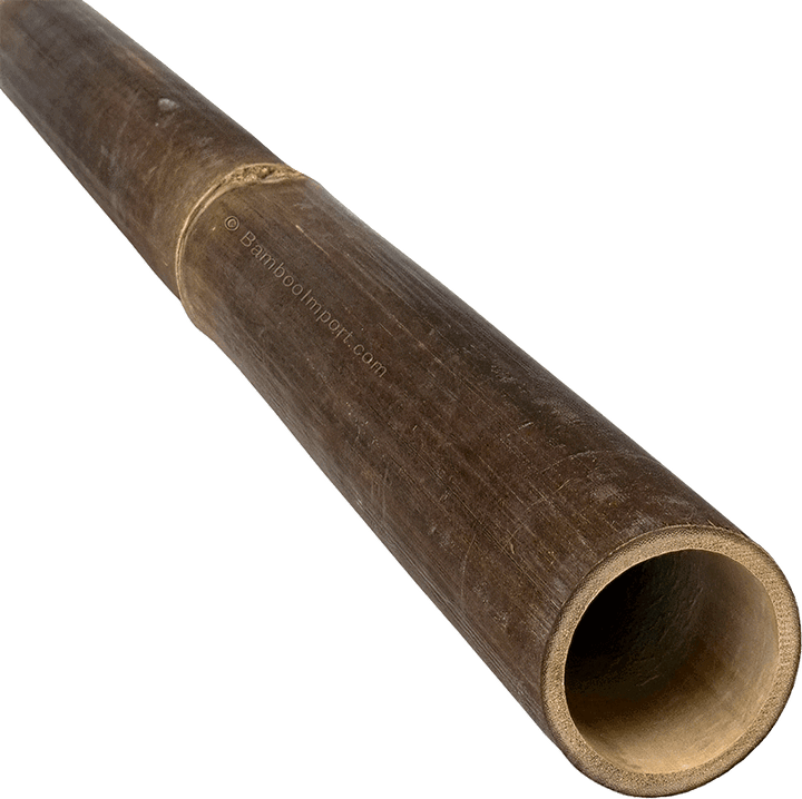 Long Lengths - Java Black Bamboo Pole