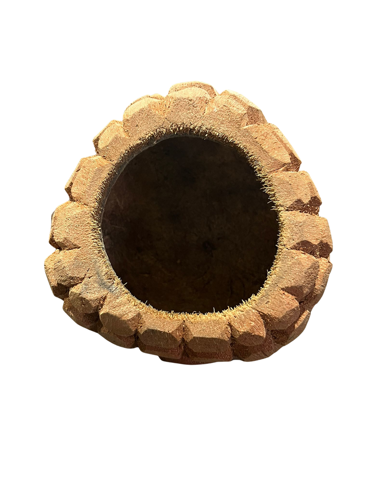 Handcrafted Coconut Buddha Decorative Pot