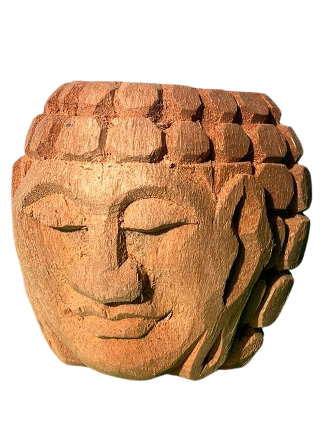 Handcrafted Coconut Buddha Decorative Pot