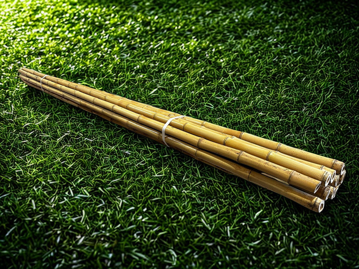 Long Lengths - Bamboo Cane Cendani - 10 Pack