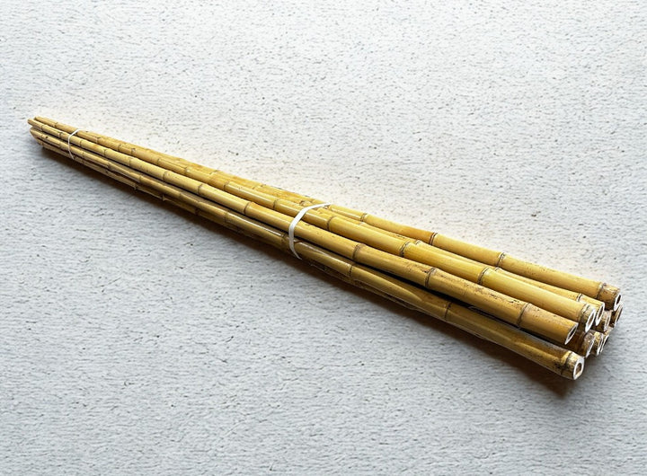 Long Lengths - Bamboo Cane Cendani - 10 Pack