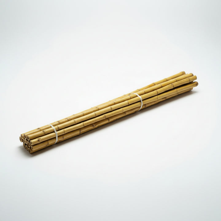 Short Lengths - Cendani Bamboo Cane - 10 Pack