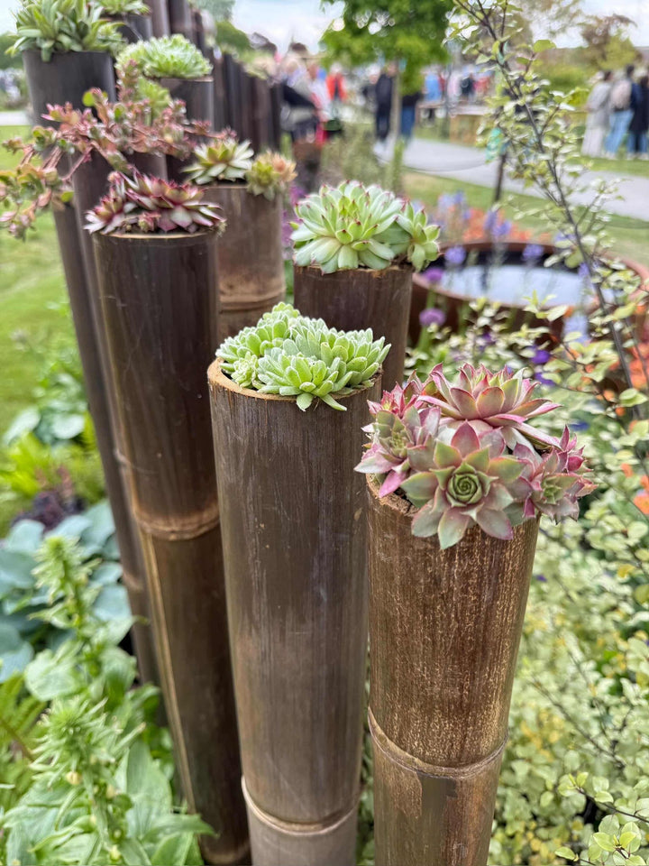 Short Lengths - Dark Java Bamboo Pole