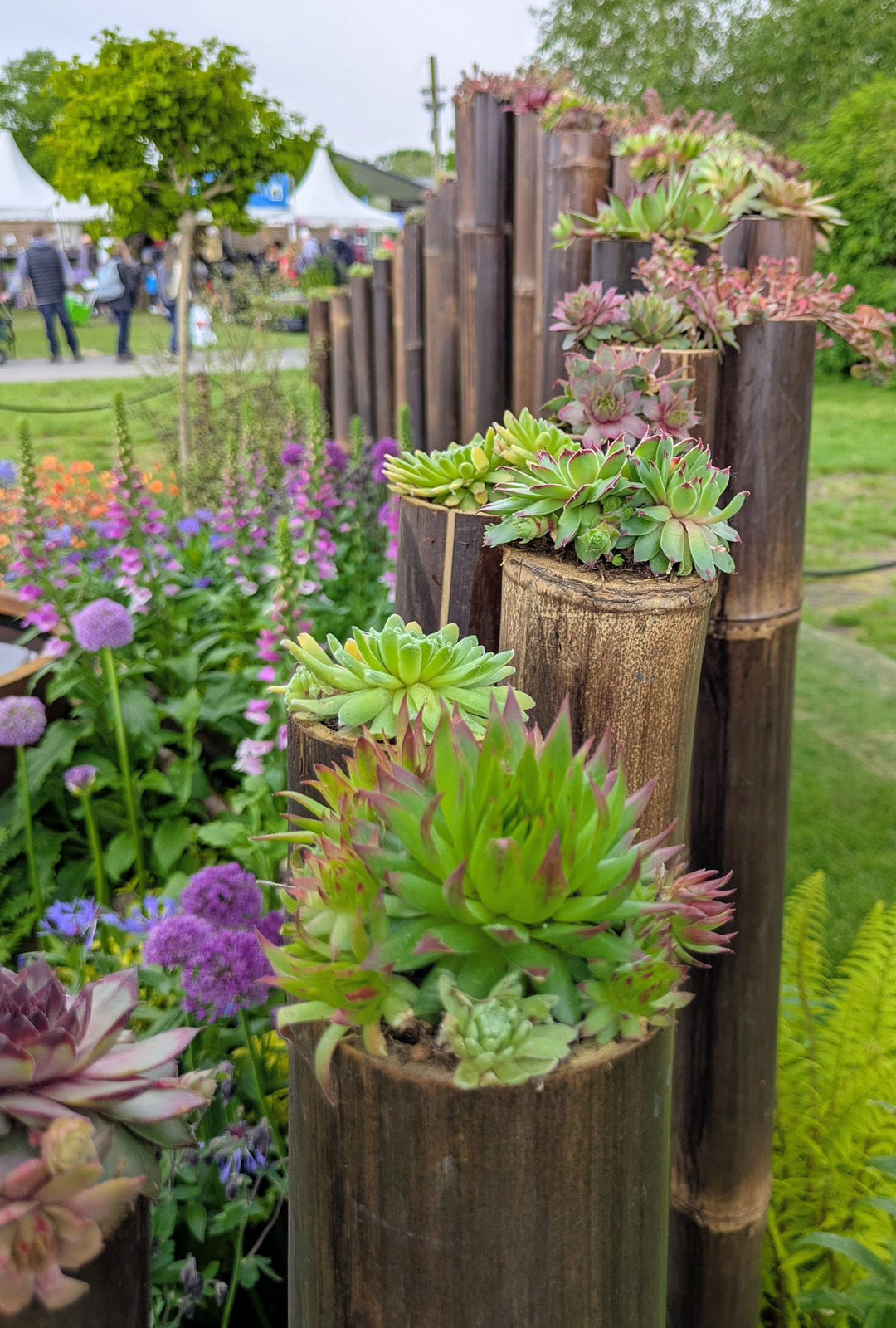 Short Lengths - Dark Java Bamboo Pole