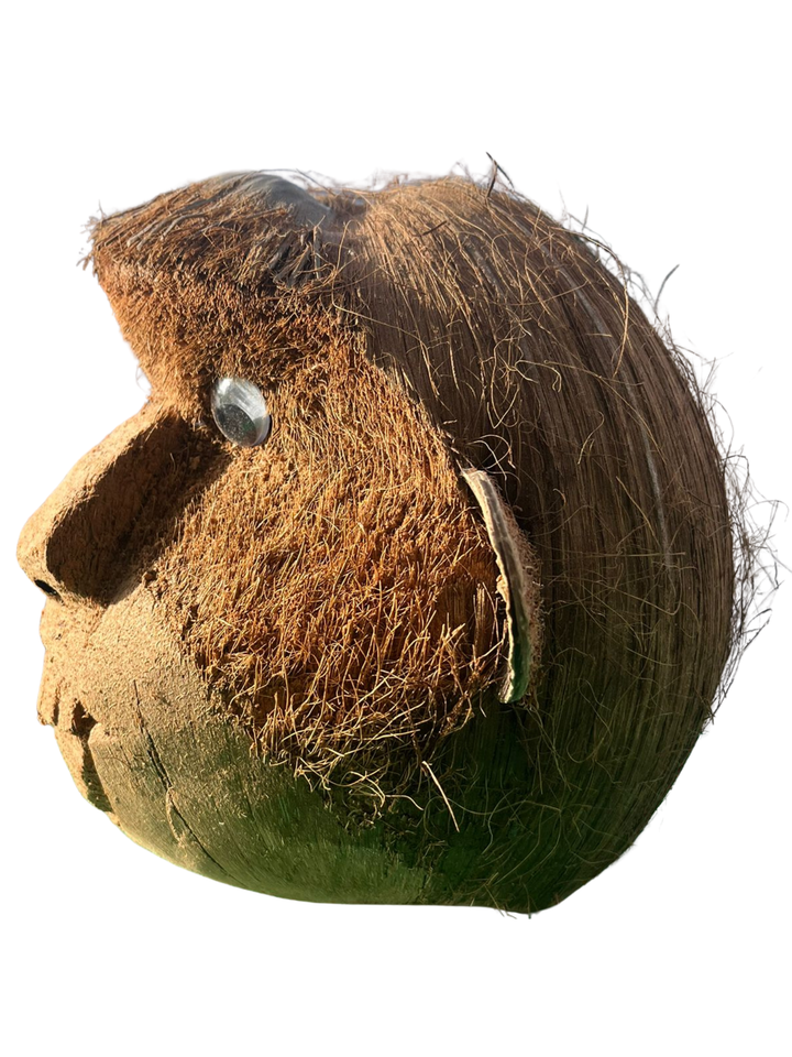 Handcrafted Coconut Monkey Decoration