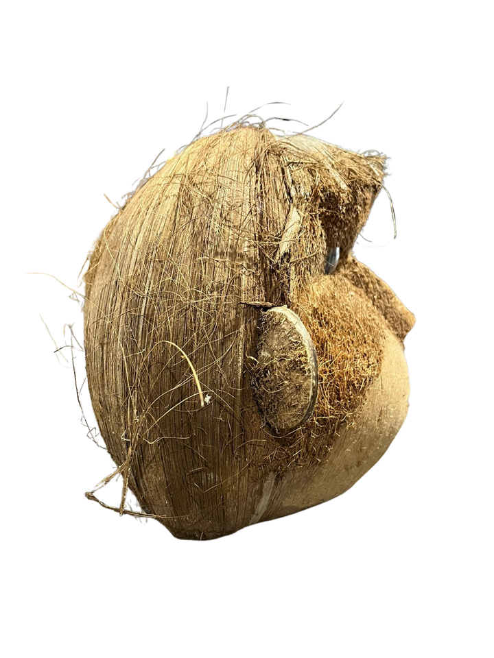 Handcrafted Coconut Monkey Decoration