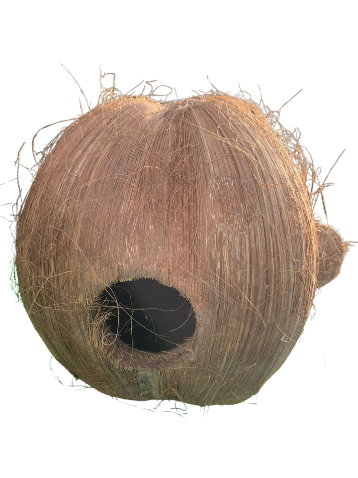 Handcrafted Coconut Monkey Decoration