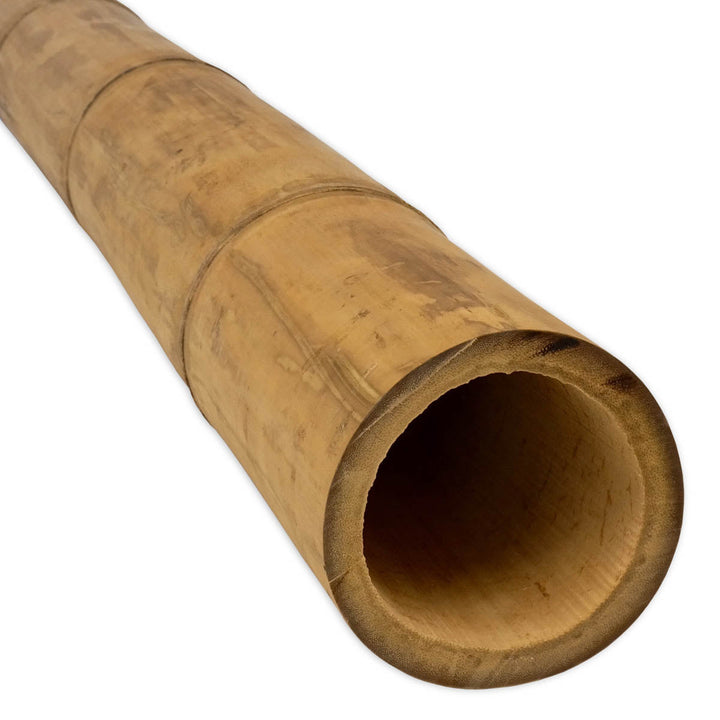 Short Lengths - Bamboo Pole Guadua