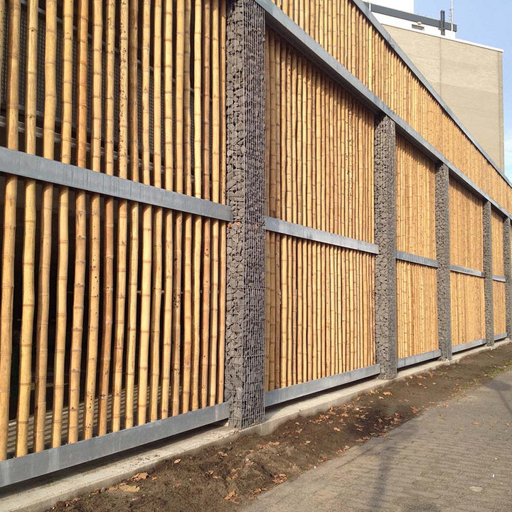 Short Lengths - Bamboo Pole Guadua
