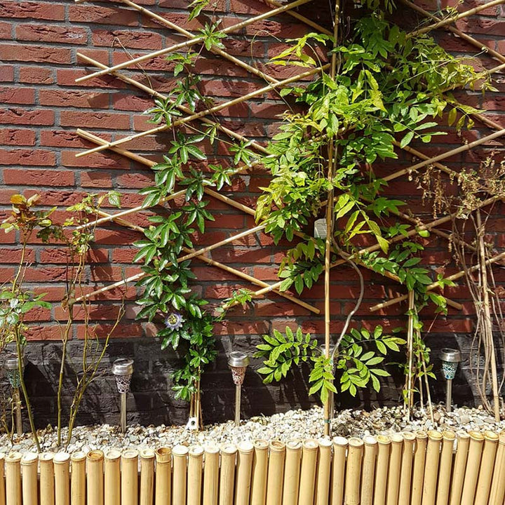 Bamboo Edging Roll 200 x 45 cm