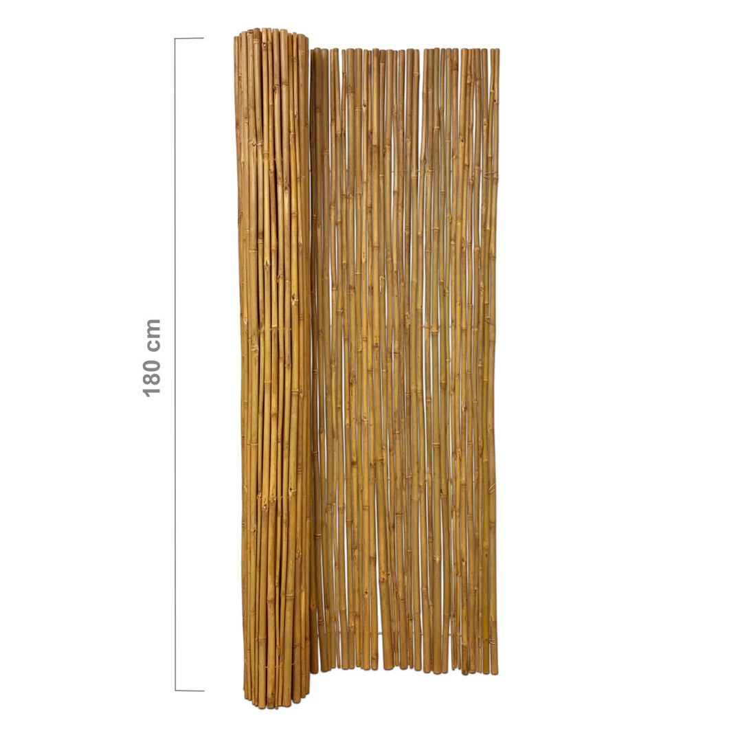 Bamboo Screening Roll Budget 180 x 180 cm
