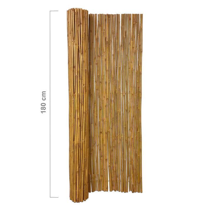 Bamboo Screening Roll Budget 180 x 180 cm