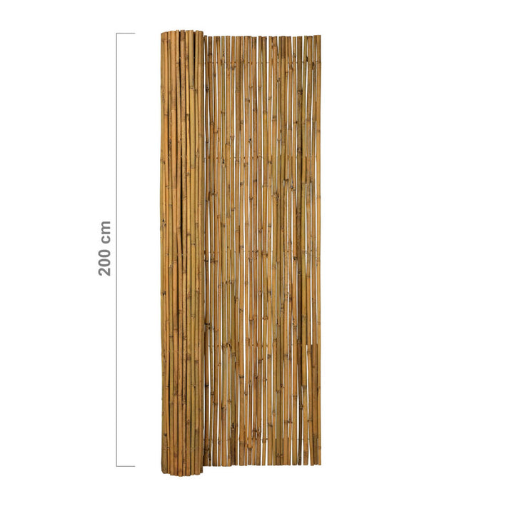 Bamboo Screening Roll Budget 180 x 200 cm