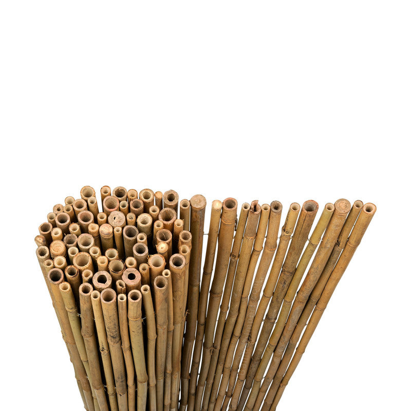 Bamboo Screening Roll Budget 180 x 200 cm