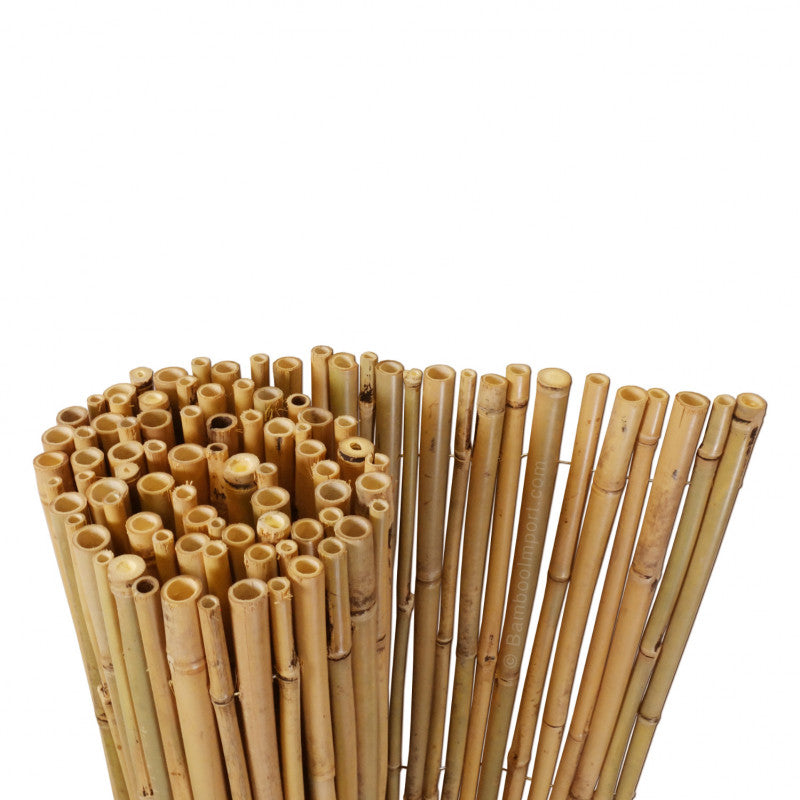 Bamboo Screening Roll Budget 180 x 180 cm